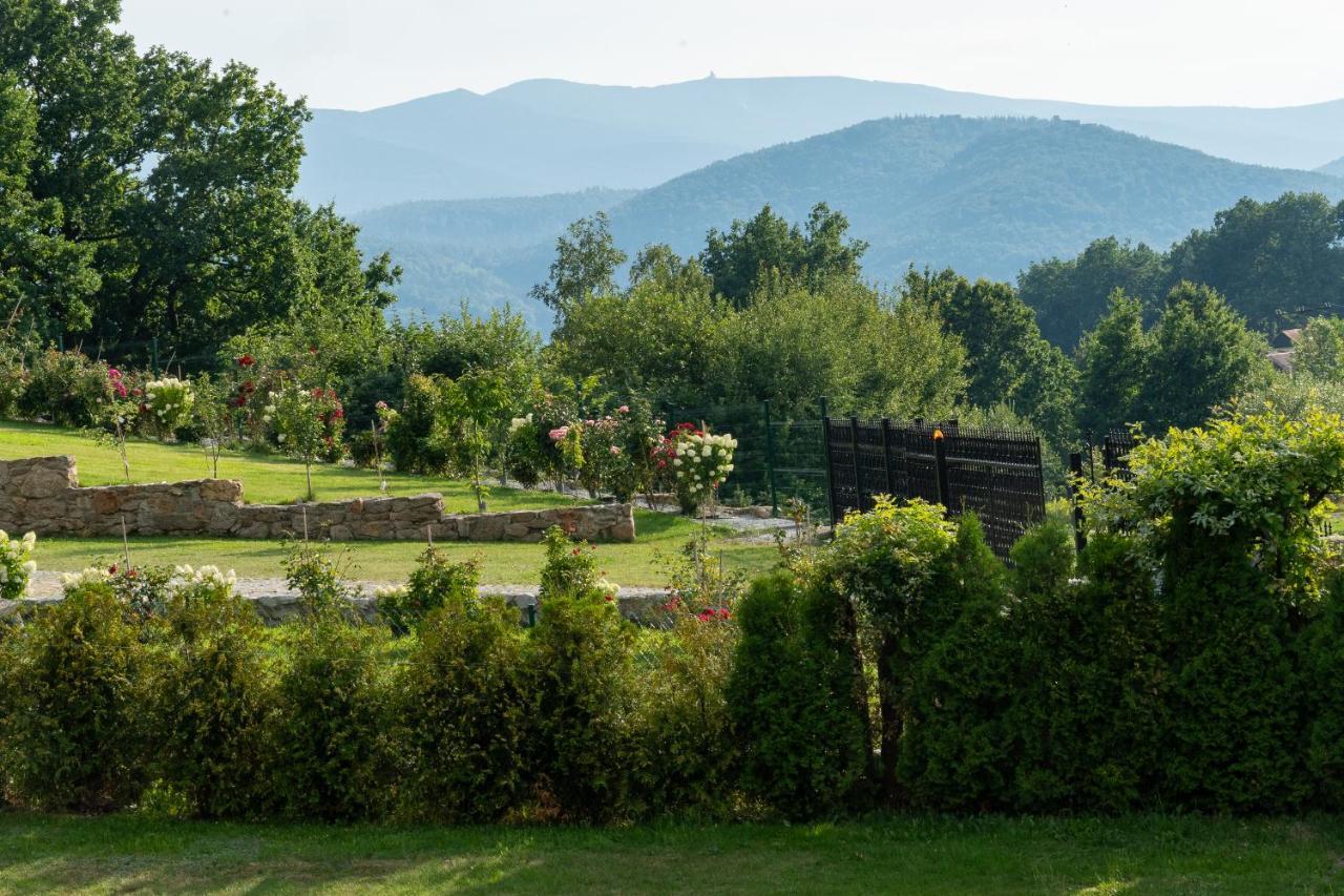 Apartament Green Hill Z Balkonem I Widokiem Na Karkonosze - Space Apart イェレニャ・グーラ エクステリア 写真
